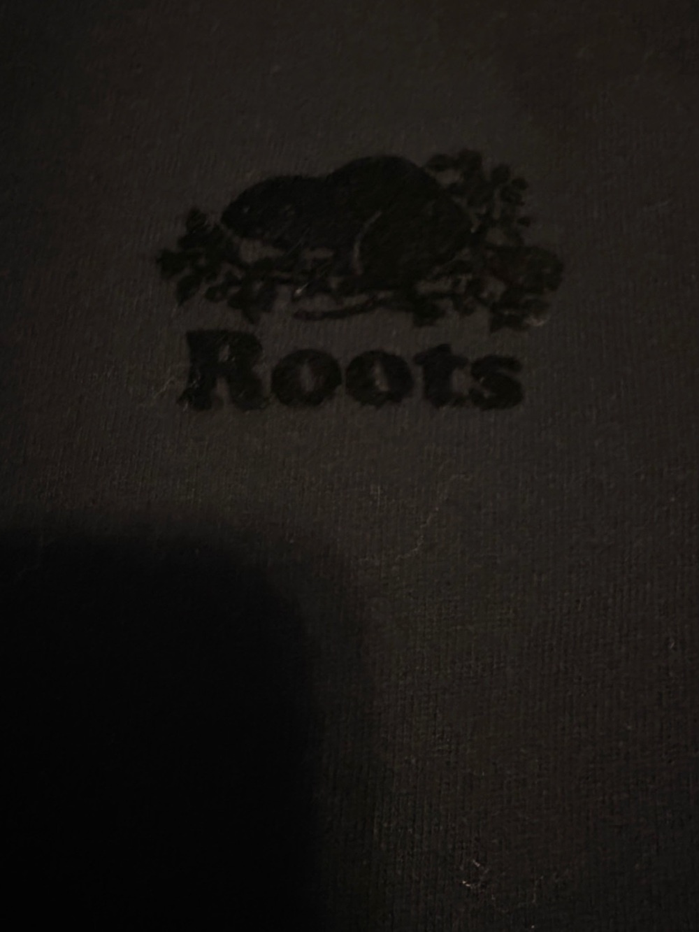 Roots Organic Cooper Short Sleeve Terry Top - Picture 4 of 8
